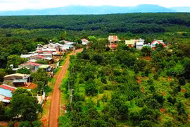 Măng Bát Độ "bén đất" Ia Chía