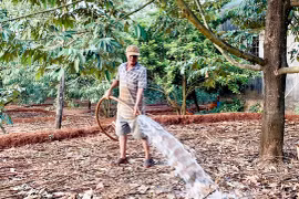 Đức Cơ ưu tiên đầu tư nâng cấp các công trình thủy lợi