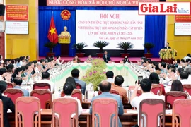 Hội nghị giao ban lần thứ nhất giữa Thường trực HĐND tỉnh Gia Lai với Thường trực HĐND cấp huyện