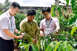 Mang Yang hỗ trợ kinh tế tập thể phát triển