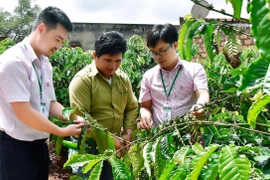 Mang Yang hỗ trợ kinh tế tập thể phát triển