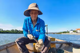 Tặng vật của những dòng sông: 'Viagra' trên sông Nhật Lệ