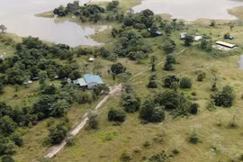 Nuôi bò trái phép trong khu bảo tồn Ea Sô, nguyên Bí thư Tỉnh ủy Đak Lak sẵn sàng di dời