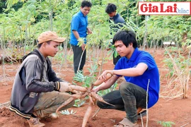 Tuổi trẻ Gia Lai gửi niềm tin, trao kỳ vọng