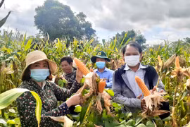 Gia Lai tăng cường công tác tuyên truyền về thông tin đối ngoại trên khu vực biên giới