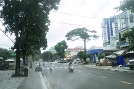 Khu vực Tây Nguyên đề phòng xảy ra lốc, sét và gió giật mạnh