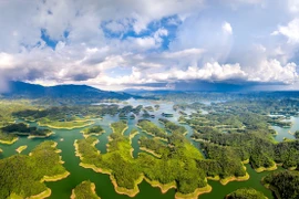 Có sân bay, Đắk Nông sẽ được 'chắp cánh'