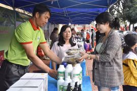 Mang Yang: 20 gian hàng tham gia trưng bày, giới thiệu sản phẩm OCOP