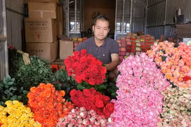 Cận Ngày Phụ nữ Việt Nam, hoa Đà Lạt tăng cao