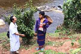 Chuyện bác sĩ Thiện ở A Vao