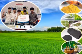 Sáng tạo xà phòng đen từ vỏ trấu