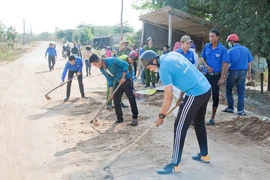 Sôi nổi các hoạt động tình nguyện