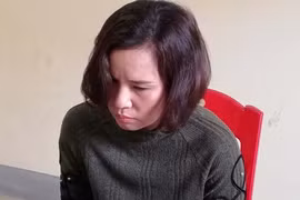 Khởi tố nữ quái vay mượn 12,5 tỷ đồng rồi chiếm đoạt