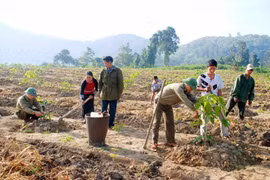 Giúp dân no ấm, giữ vững vùng biên