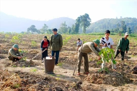 Giúp dân no ấm, giữ vững vùng biên