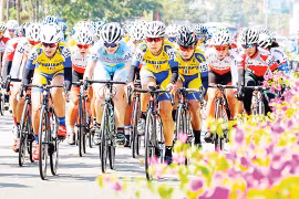 Bóng hồng đường đua