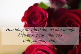 Ý nghĩa của các loài hoa tặng người phụ nữ ta thương