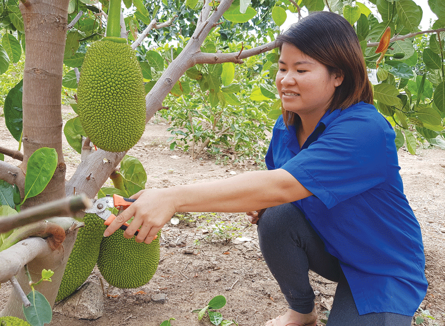 Nguyễn Thị Thủy-Làm giàu nhờ trồng cây ăn trái