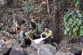 Quản lý bảo vệ rừng gắn với tâm linh, tín ngưỡng