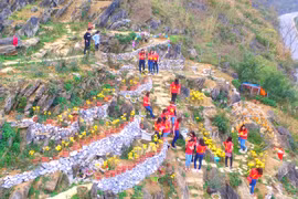 Anh chồng cải tạo đồi đá Hà Giang thành vườn hoa khổng lồ