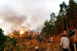 Gia Lai bài học phòng-chống cháy rừng từ vụ Ia Grai