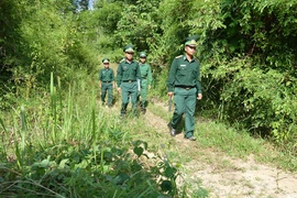 Bảo vệ vững chắc chủ quyền an ninh biên giới