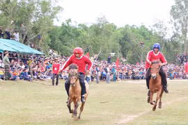 Rộn ràng vó ngựa Thì Thùng