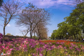 Những khoảnh khắc giao mùa lãng mạn ở cố đô Huế