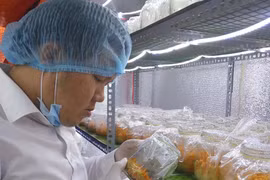 Thanh niên Gia Lai khởi nghiệp từ đam mê