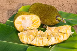 Không ngờ loại quả xù xì này có tác dụng chống ung thư