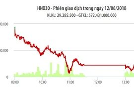 Chứng khoán 12-6: Lực bán ồ ạt, VN-Index lao dốc