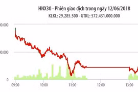 Chứng khoán 12-6: Lực bán ồ ạt, VN-Index lao dốc