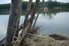 Vỡ đập ngăn mặn trên sông Trà Bồng