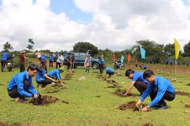 Gia Lai: Nhiều hoạt động hưởng ứng Thanh niên tình nguyện năm 2018