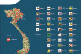 Tăng giá trị sản phẩm nhờ chỉ dẫn địa lý