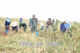 Bộ đội giúp dân vùng biên vượt qua mưa lũ