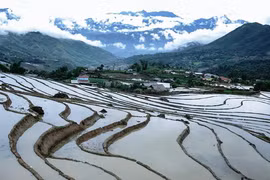'Phượt' mùa nước đổ ruộng bậc thang...