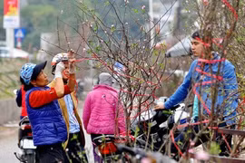 Nghỉ Tết Nguyên đán Kỷ Hợi 2019 có thể lên tới 9 ngày