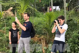 Khách quốc tế đến Việt Nam đã đạt hơn 7,89 triệu lượt