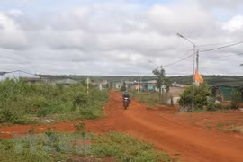 Ổn định đời sống đồng bào di cư tự phát tới các tỉnh Tây Nguyên