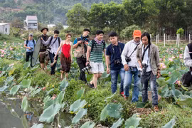 Mùa sen 'đốn tim' người trẻ