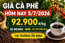 Giá cà phê hôm nay 5/7: Giữ nguyên sau nhiều phiên biến động