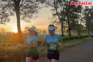 Ấn tượng cung đường chạy Half Marathon “Đánh thức vùng quê Chư Păh-Hành trình kết nối núi và hoa”