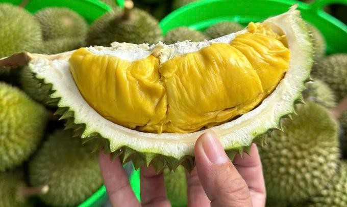 Sầu riêng là một trong những nông sản tươi xuất khẩu được ưu tiên thông quan nhanh nhất. Ảnh: Mạnh Khương/Nguồn Vnexpress.net saurieng.jpg