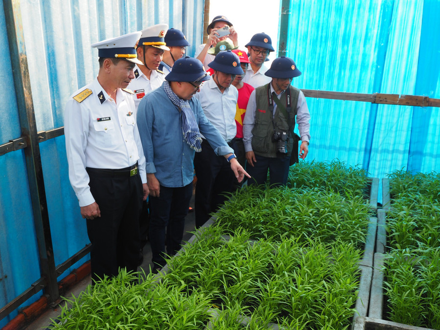 Lãnh đạo đoàn công tác thăm vườn rau ở đảo Đá Thị Lãnh đạo đoàn công tác thăm vườn rau ở đảo Đá Thị