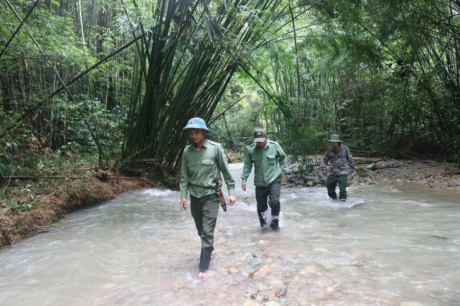 Những chuyến tuần tra mất nhiều ngày ở rừng Chư Mom Ray. ẢNH: H.T