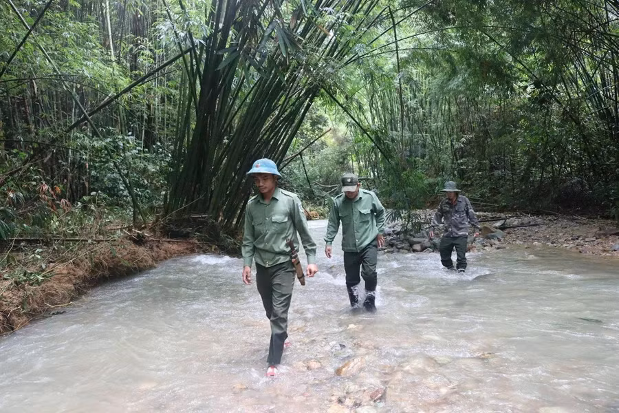 Những chuyến tuần tra mất nhiều ngày ở rừng Chư Mom Ray. ẢNH: H.T