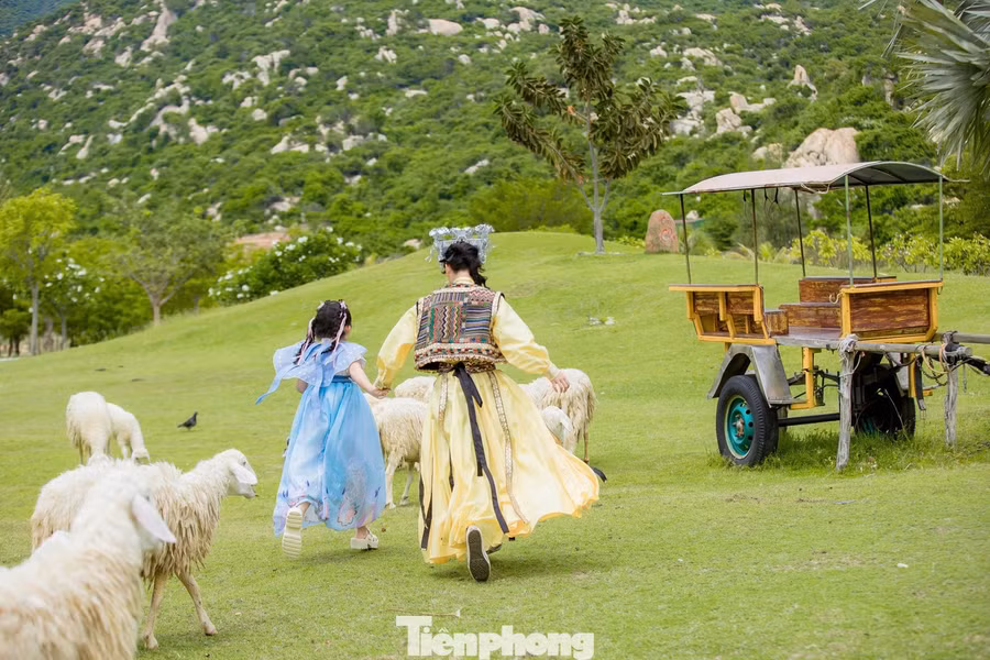 Những trải nghiệm mới cùng khung cảnh thiên nhiên hoang sơ đã khiến nhiều du khách xem Tanyoli như một điểm dừng chân đặc biệt khi khám phá vùng đất Ninh Thuận cũ.