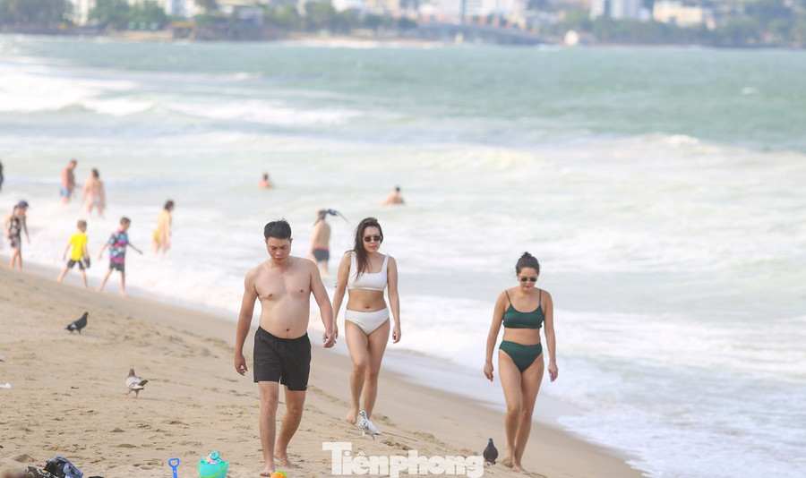 ... hoặc chim bồ câu đi dạo cùng du khách.