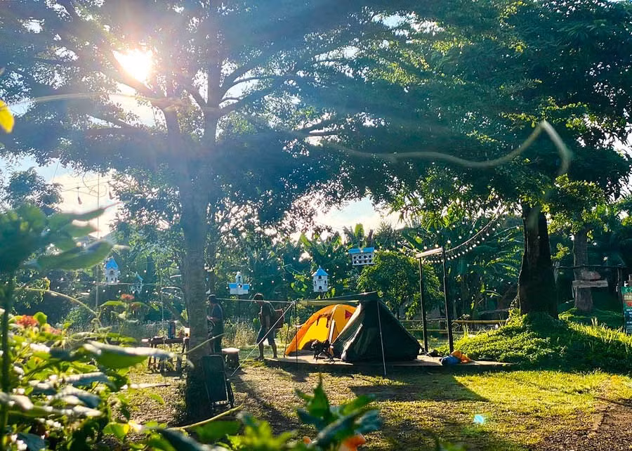 Không gian vườn rừng lý tưởng của Paksong Farmstay. Ảnh: Phan Duy